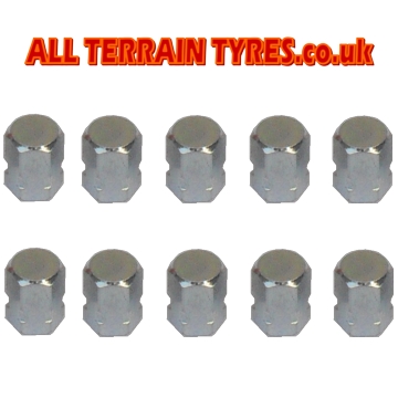 High Pressure Nickel Plated Hexagon Tyre Valve Caps (100) - Click Image to Close